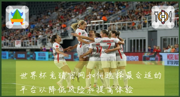 世界杯竞猜官网如何选择最合适的平台以降低风险和提高体验