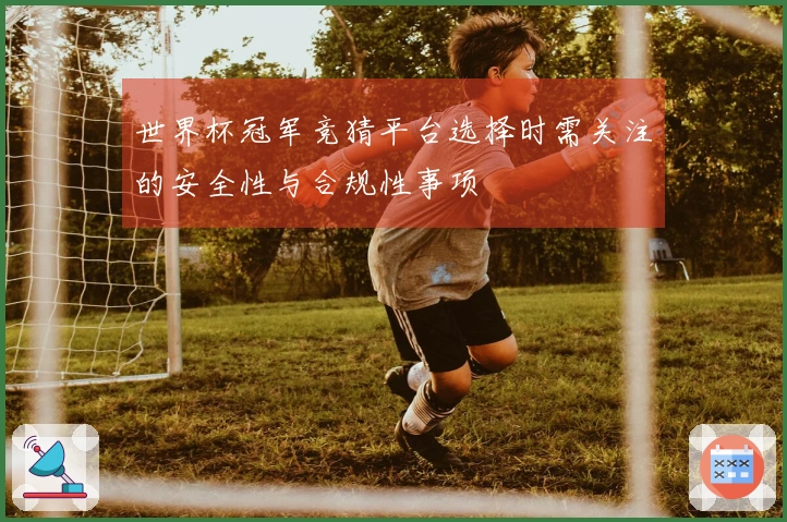 世界杯冠军竞猜平台选择时需关注的安全性与合规性事项