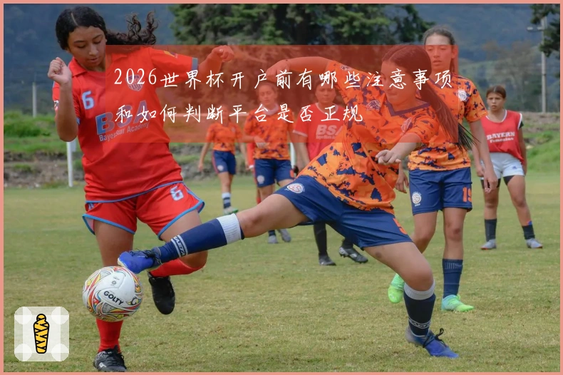 2026世界杯开户前有哪些注意事项和如何判断平台是否正规