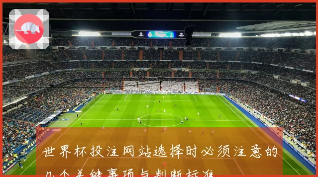 世界杯投注网站选择时必须注意的几个关键事项与判断标准