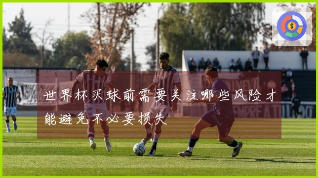 世界杯买球前需要关注哪些风险才能避免不必要损失