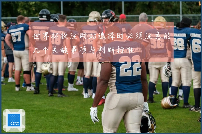 世界杯投注网站选择时必须注意的几个关键事项与判断标准