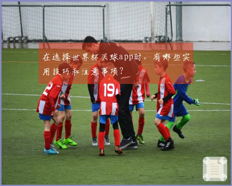 在选择世界杯买球app时，有哪些实用技巧和注意事项？