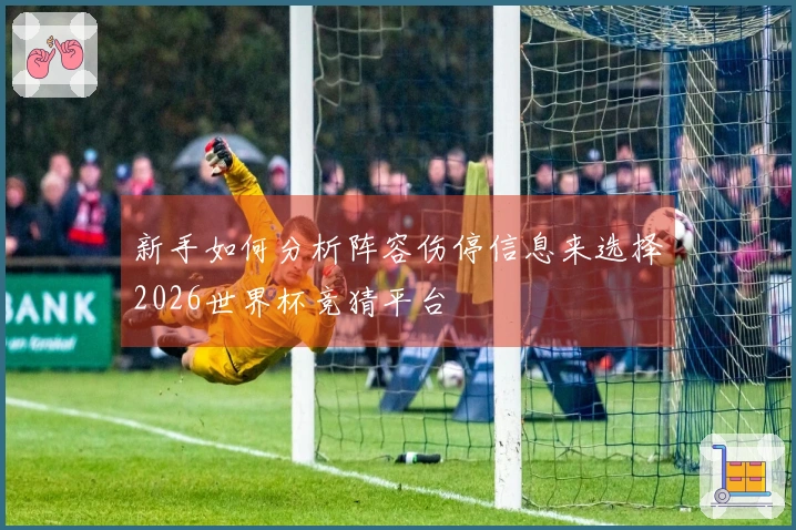 新手如何分析阵容伤停信息来选择2026世界杯竞猜平台