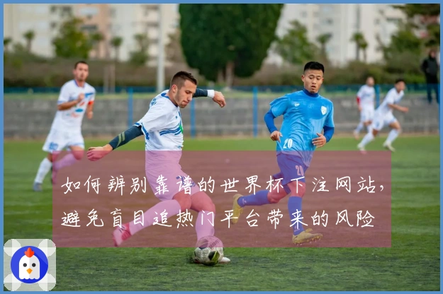 如何辨别靠谱的世界杯下注网站,避免盲目追热门平台带来的风险