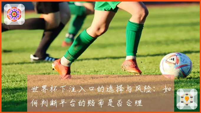 世界杯下注入口的选择与风险：如何判断平台的赔率是否合理
