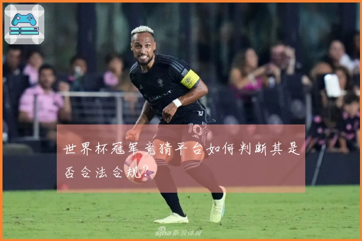 世界杯冠军竞猜平台如何判断其是否合法合规？