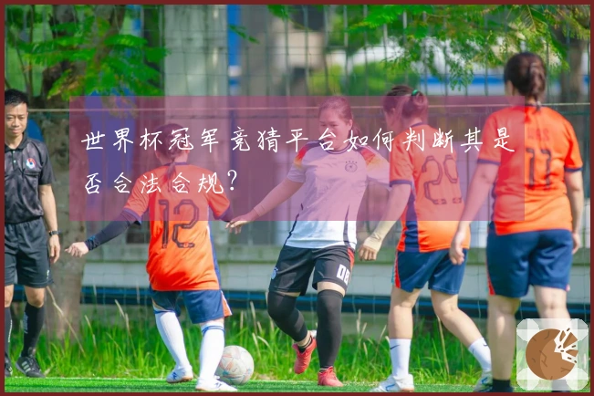 世界杯冠军竞猜平台如何判断其是否合法合规？