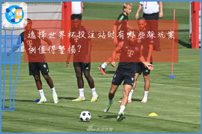 选择世界杯投注站时有哪些踩坑案例值得警惕？