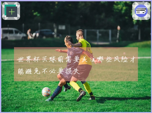 世界杯买球前需要关注哪些风险才能避免不必要损失