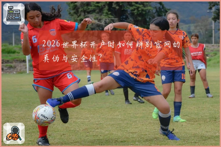 2026世界杯开户时如何辨别官网的真伪与安全性？