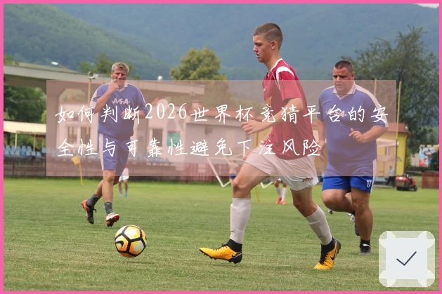 如何判断2026世界杯竞猜平台的安全性与可靠性避免下注风险