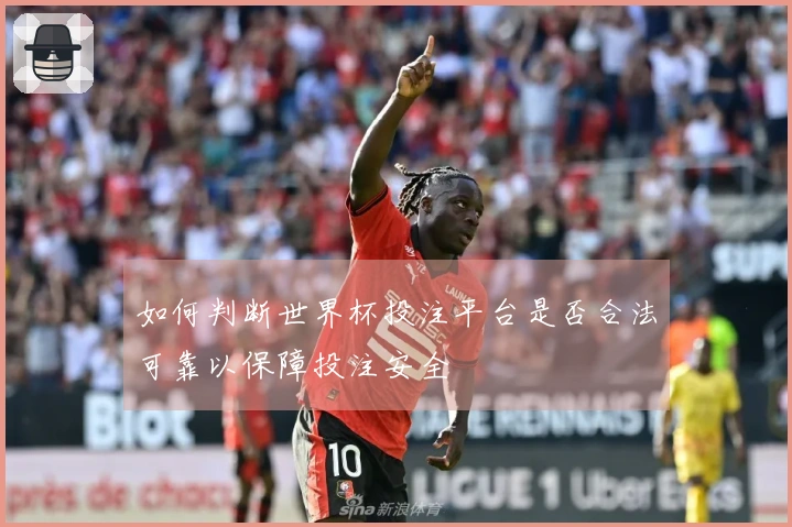 如何判断世界杯投注平台是否合法可靠以保障投注安全