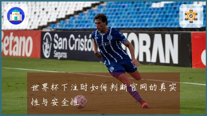 世界杯下注时如何判断官网的真实性与安全性