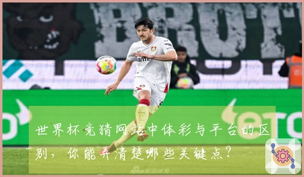 世界杯竞猜网站中体彩与平台的区别，你能弄清楚哪些关键点？