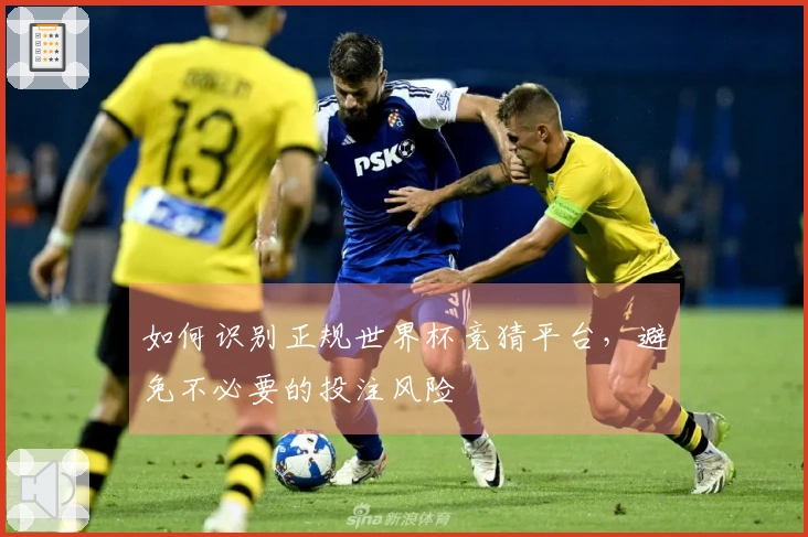 如何识别正规世界杯竞猜平台，避免不必要的投注风险