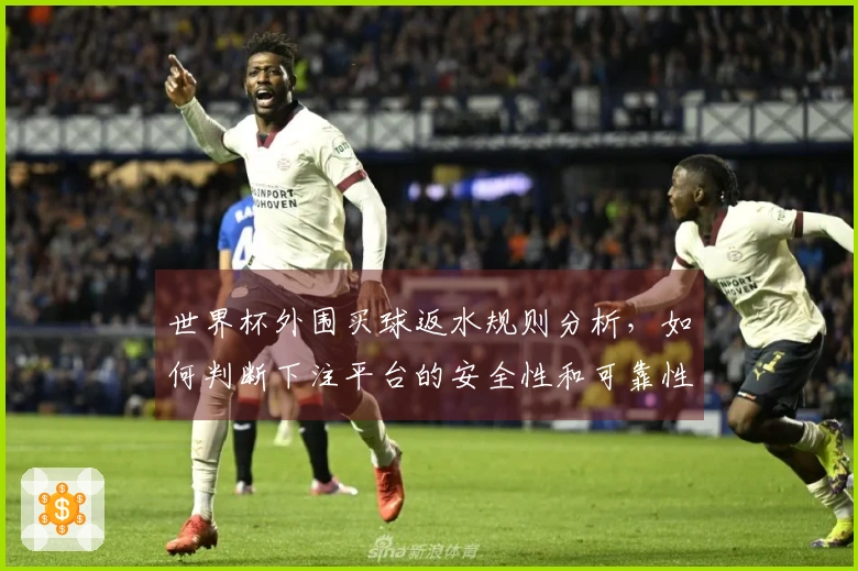 世界杯外围买球返水规则分析，如何判断下注平台的安全性和可靠性