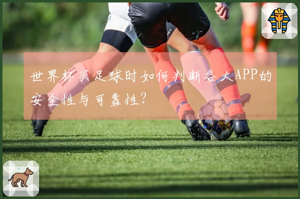 世界杯买足球时如何判断各大APP的安全性与可靠性？