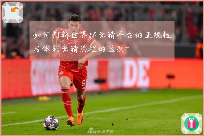 如何判断世界杯竞猜平台的正规性与体彩竞猜流程的区别-
