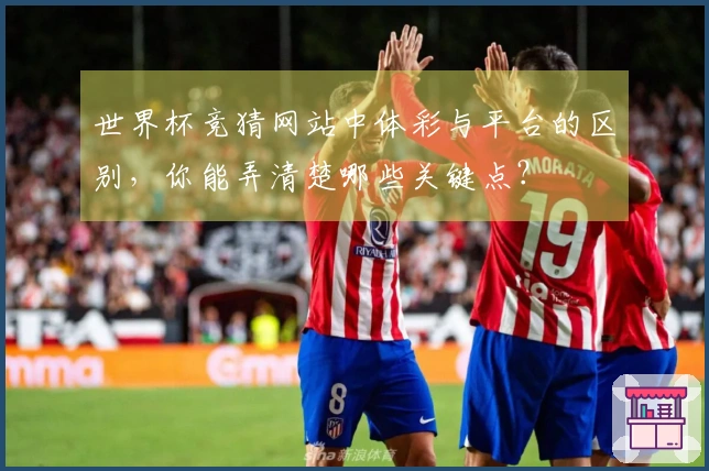 世界杯竞猜网站中体彩与平台的区别，你能弄清楚哪些关键点？