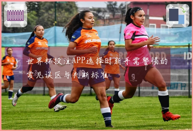 世界杯投注APP选择时新手需警惕的常见误区与判断标准
